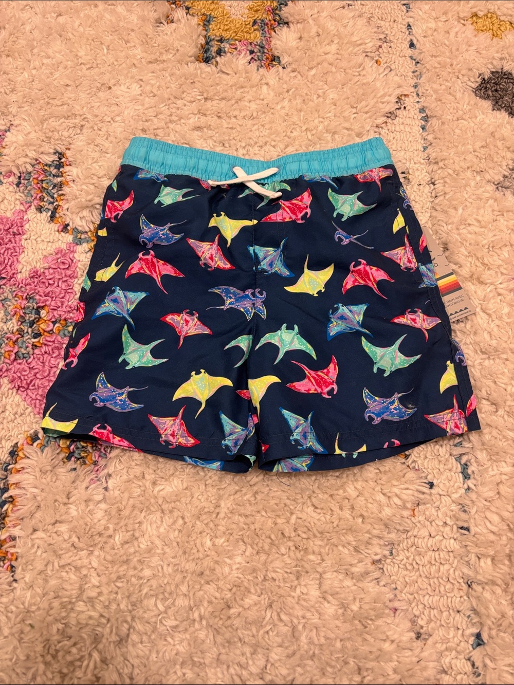 C&C California Swim Shorts
